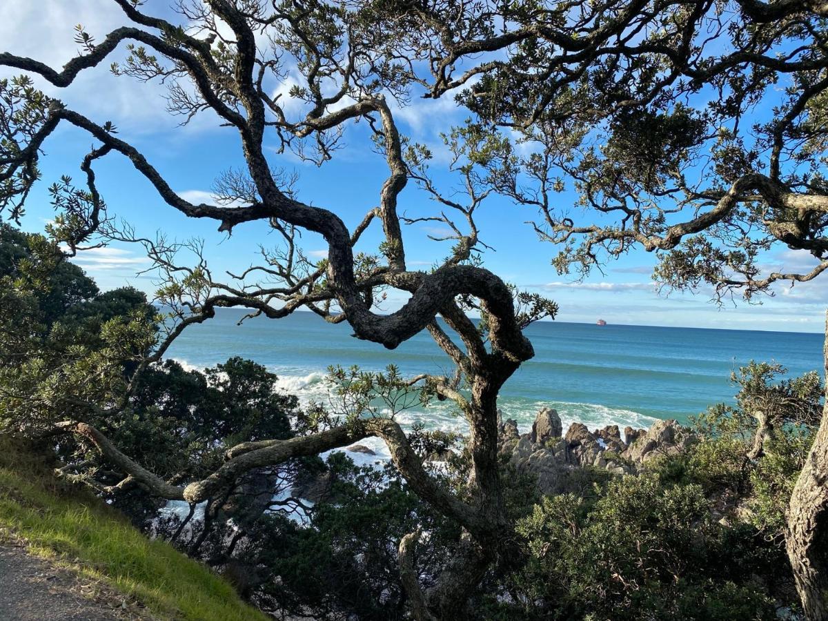 Modern Beach Apartment With Pool & Location Mount Maunganui Zewnętrze zdjęcie